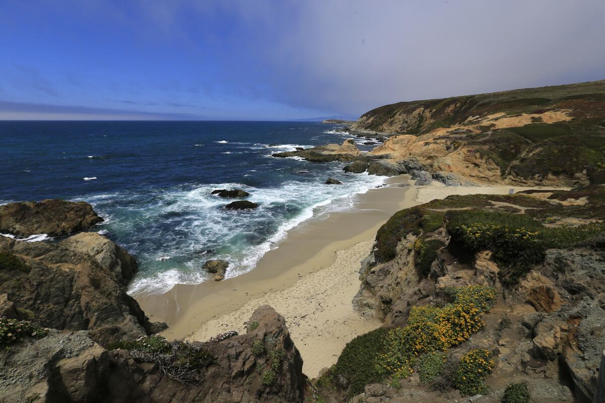 A scenic view looking down the coast at Bodega Head, Calif.