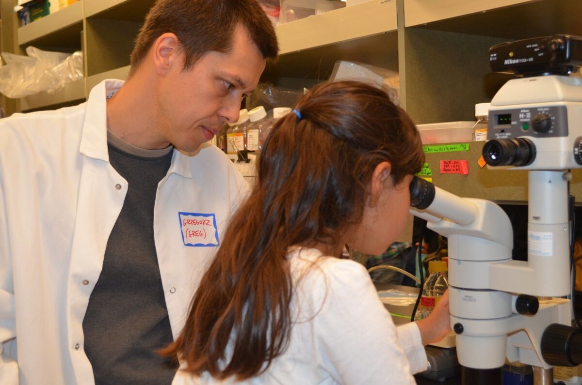 Grzegorz Chodaczek, a researcher at the La Jolla Institute for Allergy & Immunology, shows a young visitor a laboratory microscope on Sunday at the Meet the Scientists Day.