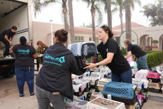 San Diego Humane Society Officer Morgan Labadie, right, and Animal Services Manager Jennell Garza lift an animal crate into a truck headed to rescue partners in Tucson, Arizona, on Monday, Aug. 7., 2023.