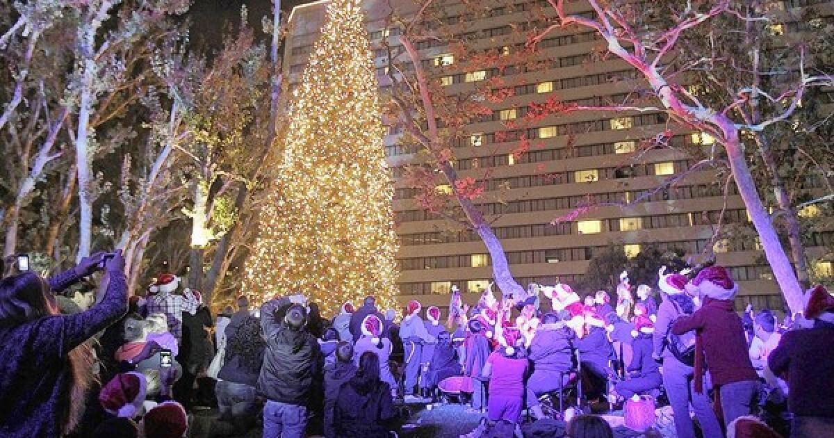 Photo Gallery South Coast Plaza Tree Lighting Los Angeles Times