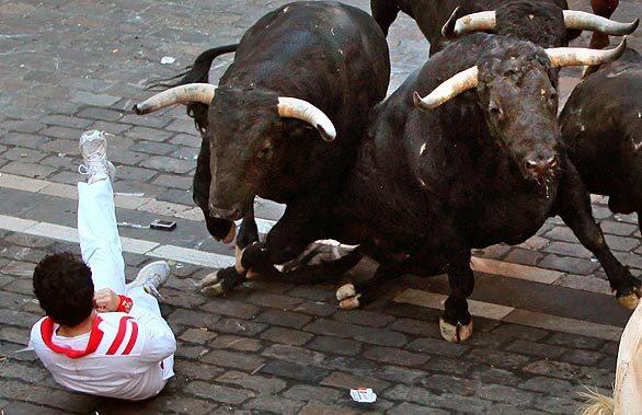 A man running with the bulls in Pamplona, Spain, is knocked to the ground. Today's running took a heavy toll; one person was gored to death, the first such fatality in nearly 15 years, and nine others were injured.