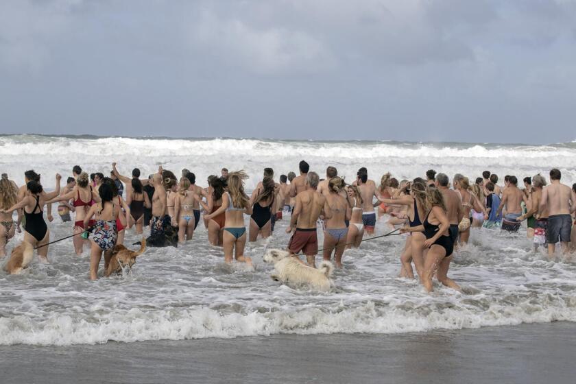 Participants at last year’s Penguin Plunge in Del Mar.