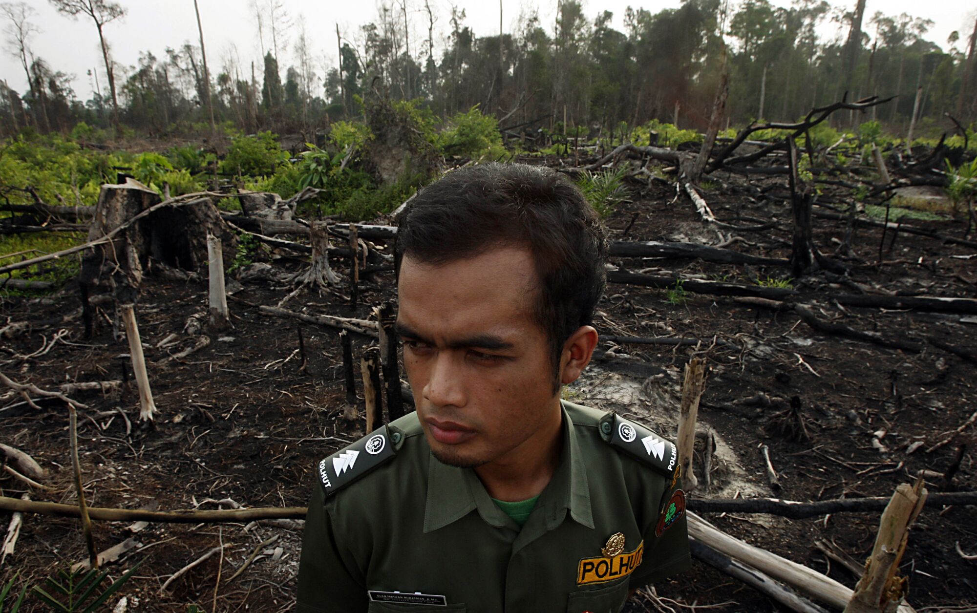 An Indonesian park ranger surveys the destruction of a section of forest
