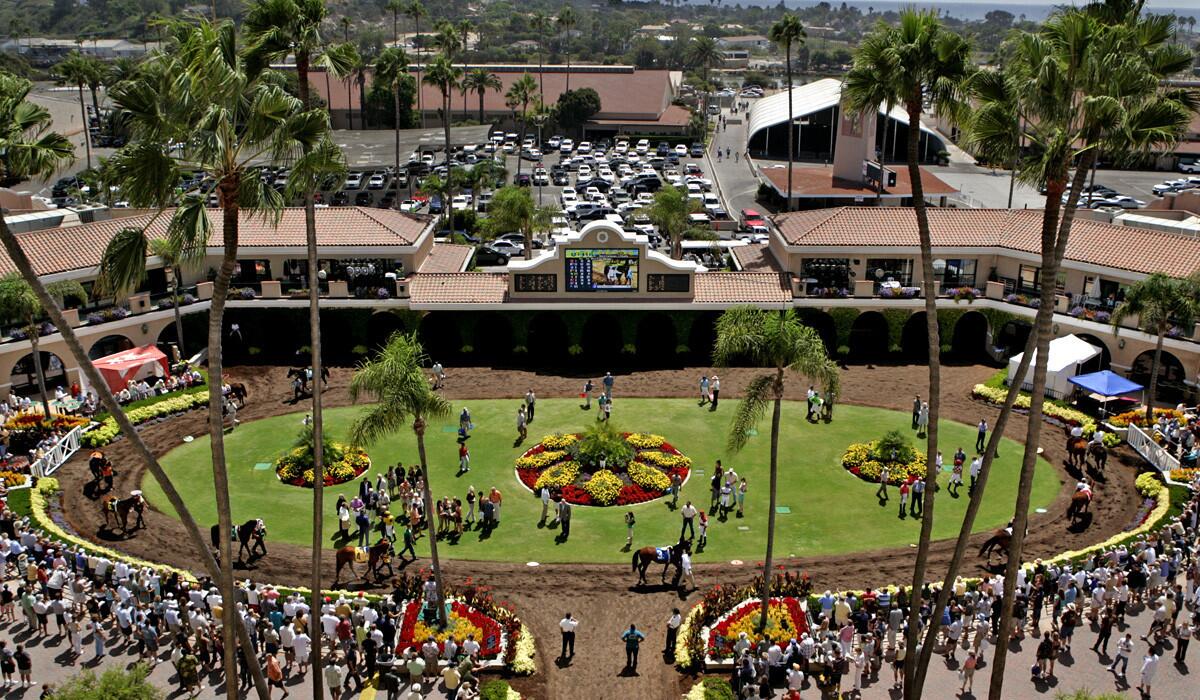Horses warm up in the paddock before a race at Del Mar.