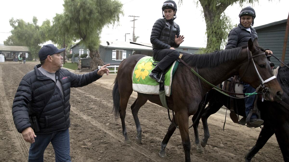 Trainer and owner Mick Ruis watches as one of his horses heads to a workout at Santa Anita Park.