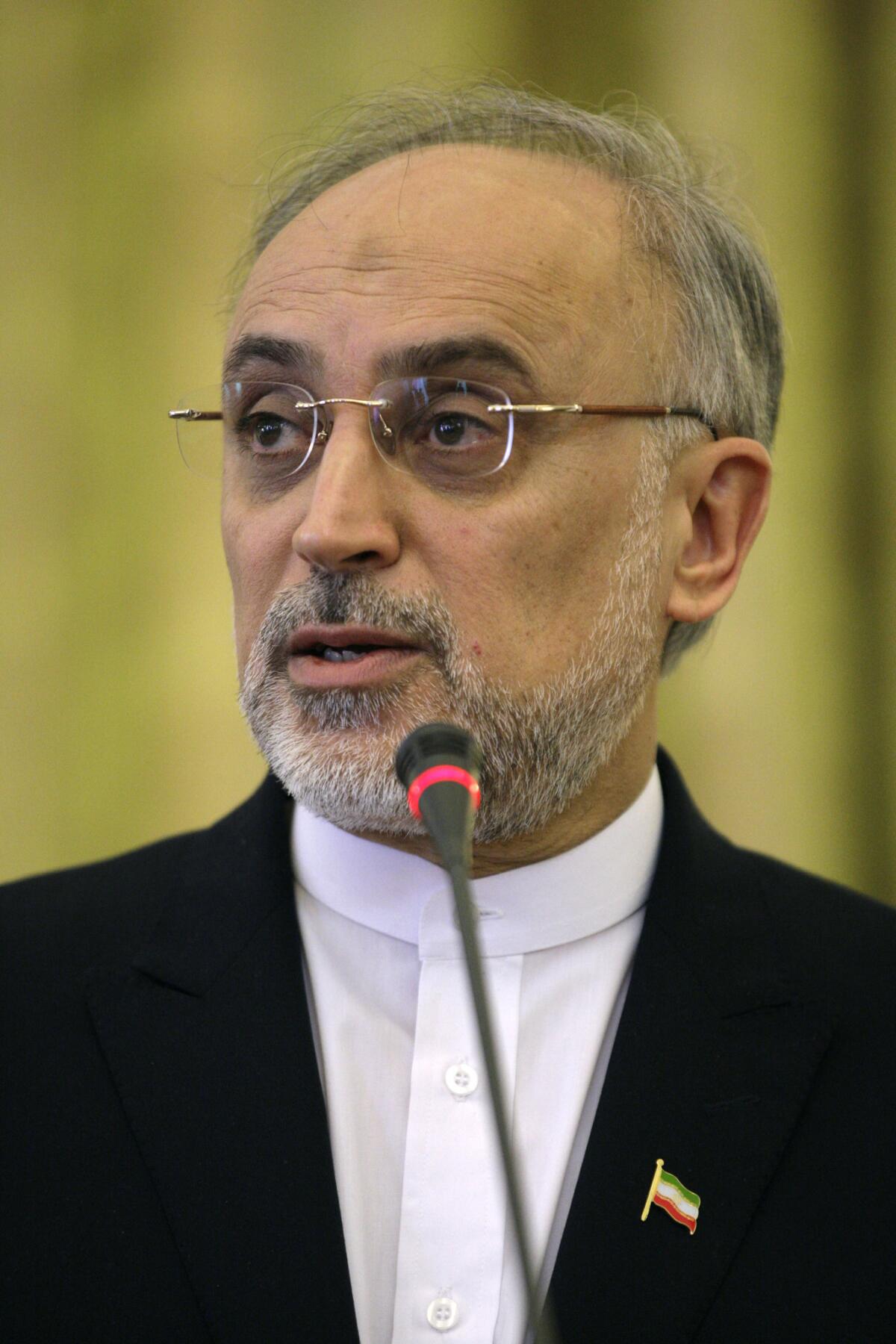 Iranian Foreign Minister Ali Akbar Salehi in March.