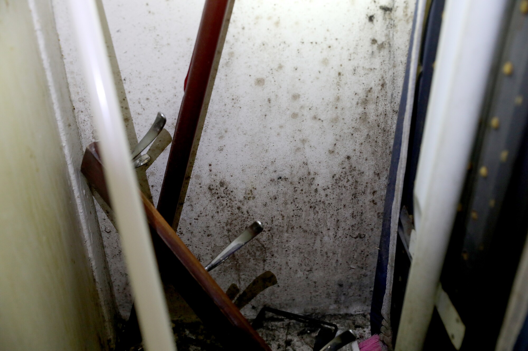 What appears to be mold in a kitchen closet at the Chesapeake Apartments.