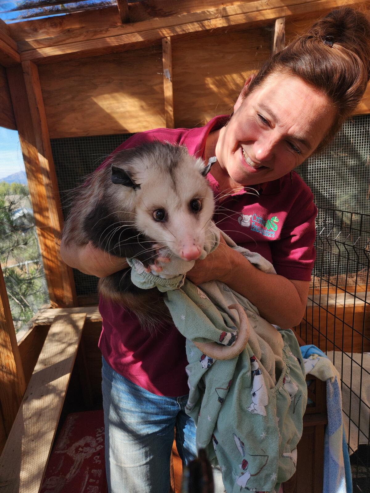 Opposums are one of Andrea Burgan's favorite animals, she said.