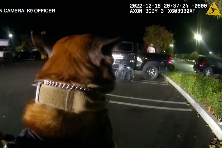 Body-worn camera video shows a Chula Vista police canine handler shoot a man in a shopping center parking lot in December. The man, later identified as Bradley Munroe, was killed in the shooting.