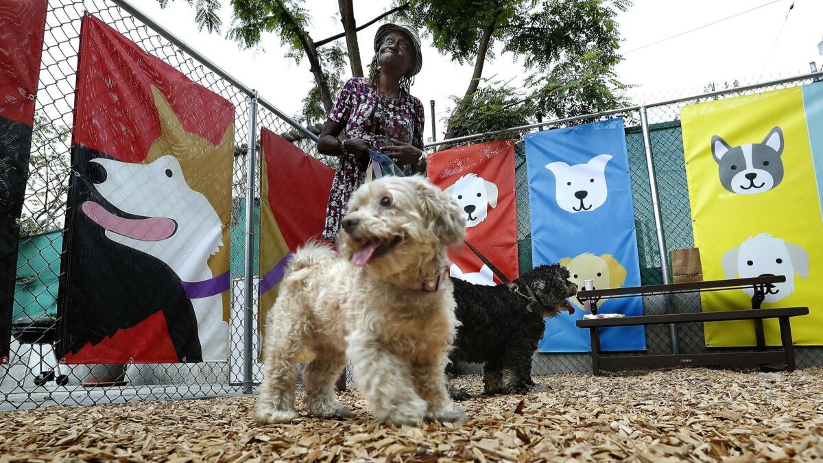 Bobby Ann Luckett, a Weingart Center resident, visits the new dog park with her dogs, Princess Ann, an 8-year-old Maltese/terrier mix, and Chub-Chub Lee, a 16-year-old cocker spaniel-Rottweiler mix.