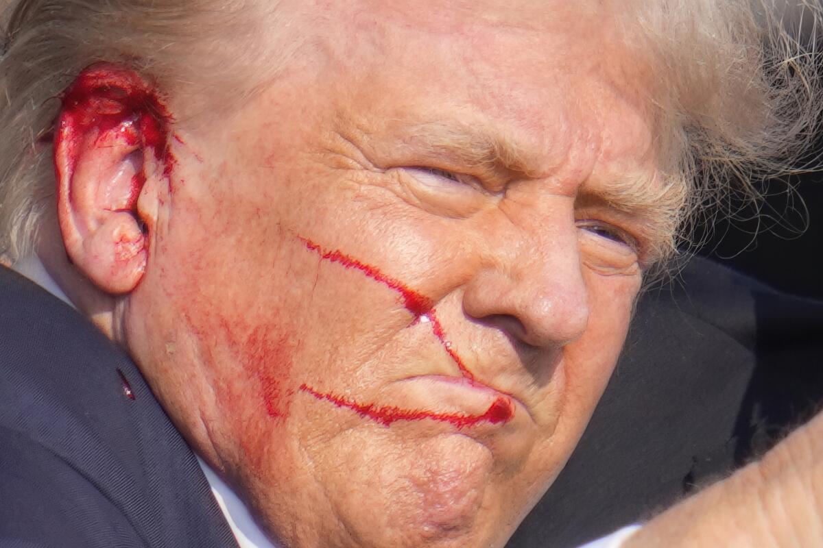 Former President Trump's ear is covered in blood after being shot at a campaign rally.