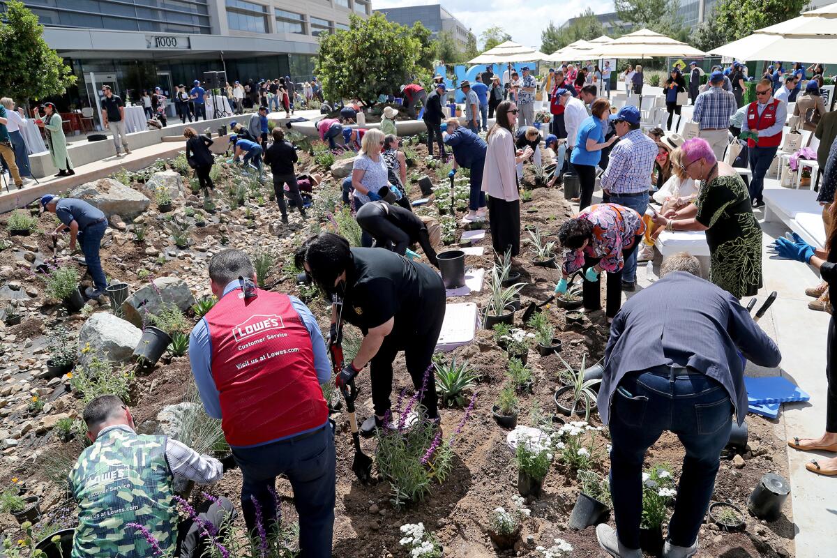 Dozens participate in planting trees at the new healing garden at City of Hope's $1-billion cancer campus on Wednesday.