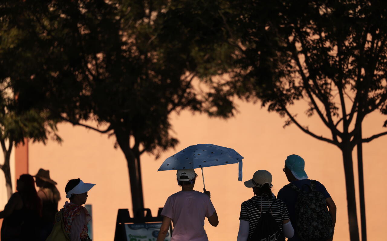 People find relief from the heat beneath the trees on the L.A. Waterfront in San Pedro