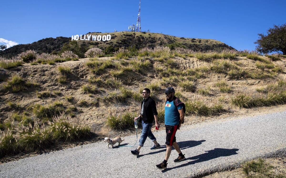 Two people and a dog walk in a park near the Hollywood sign.