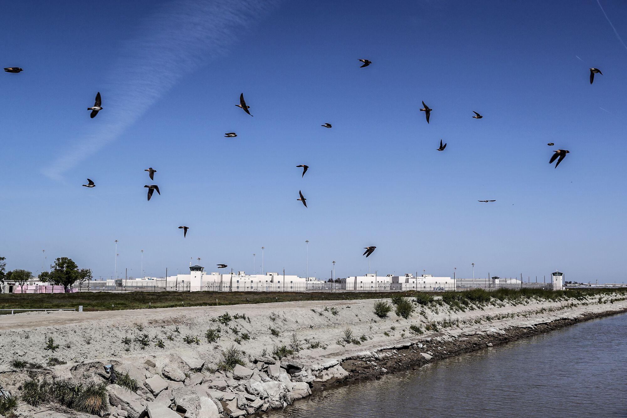 Birds dot the sky over a water canal near California State Prison