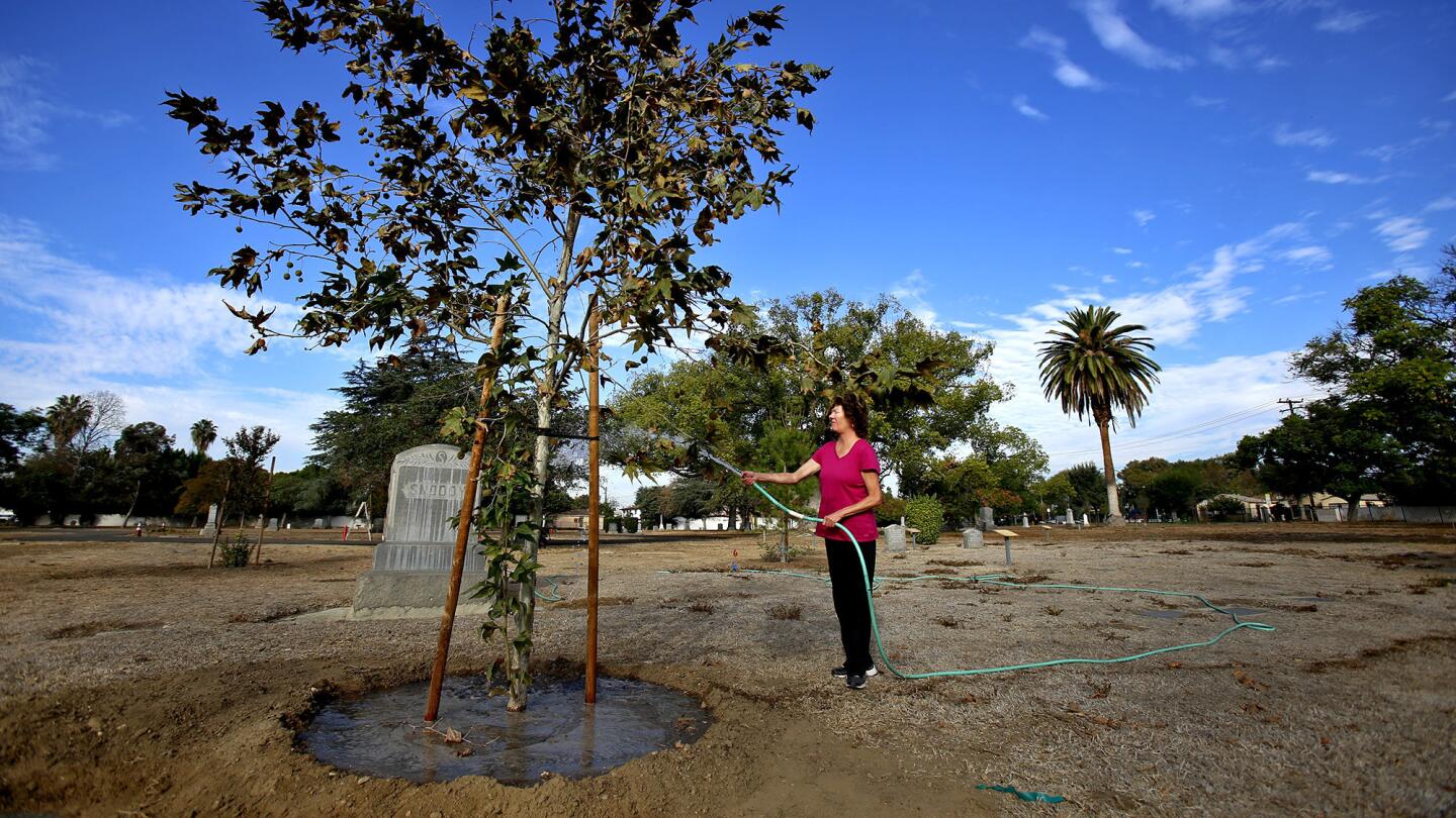 Water conservation at L.A. County cemeteries