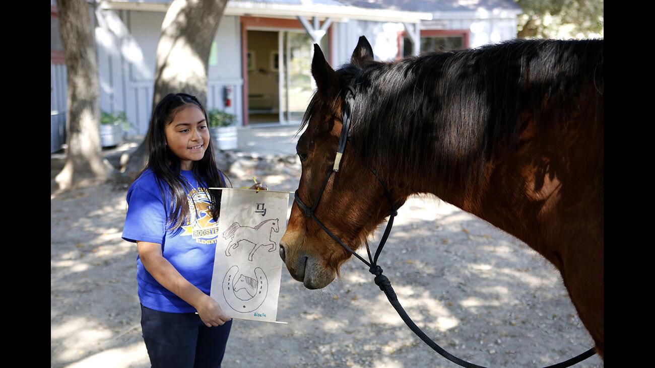 Photo Gallery: Kids learn about Art of the Horse