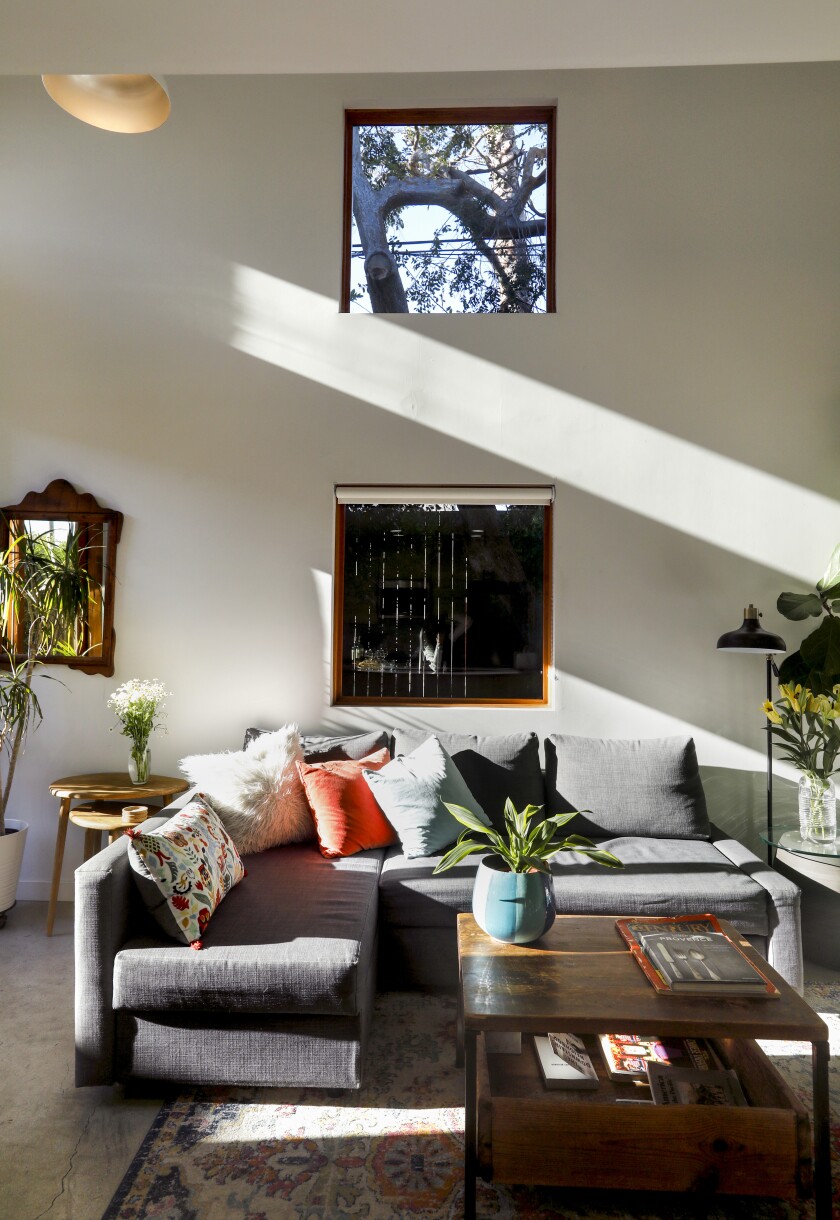 A Chinese elm is seen through the square windows of a living room.