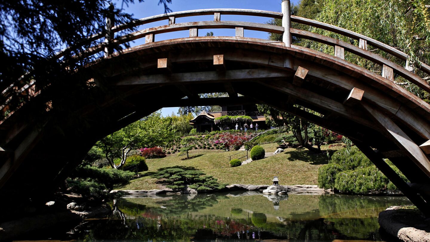 The Japanese tea garden.