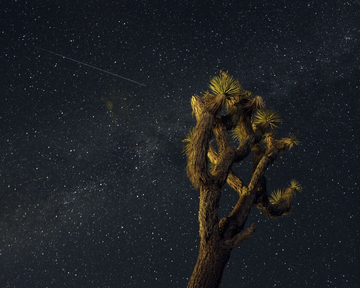 A Perseid meteor streaks across the sky over the Mojave Desert in Landers.