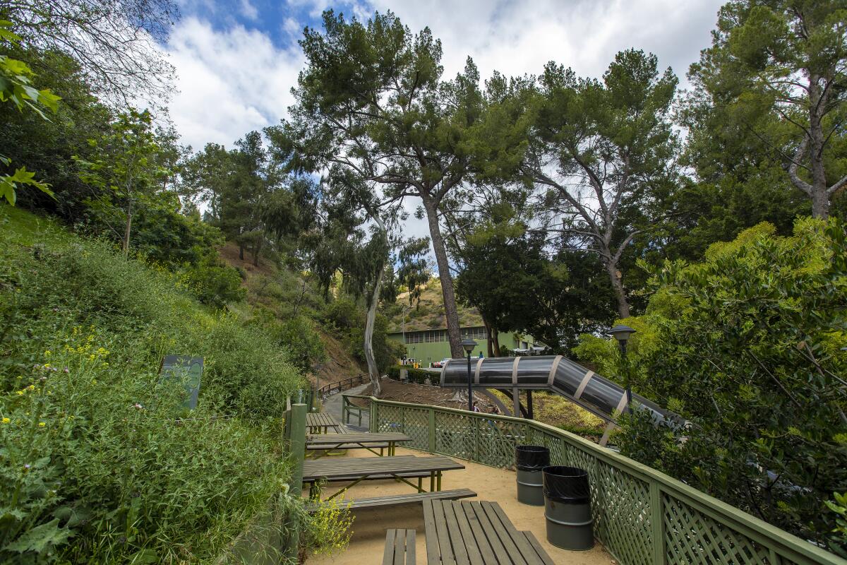 Trees, picnic tables and benches in Toyon Terrace. 