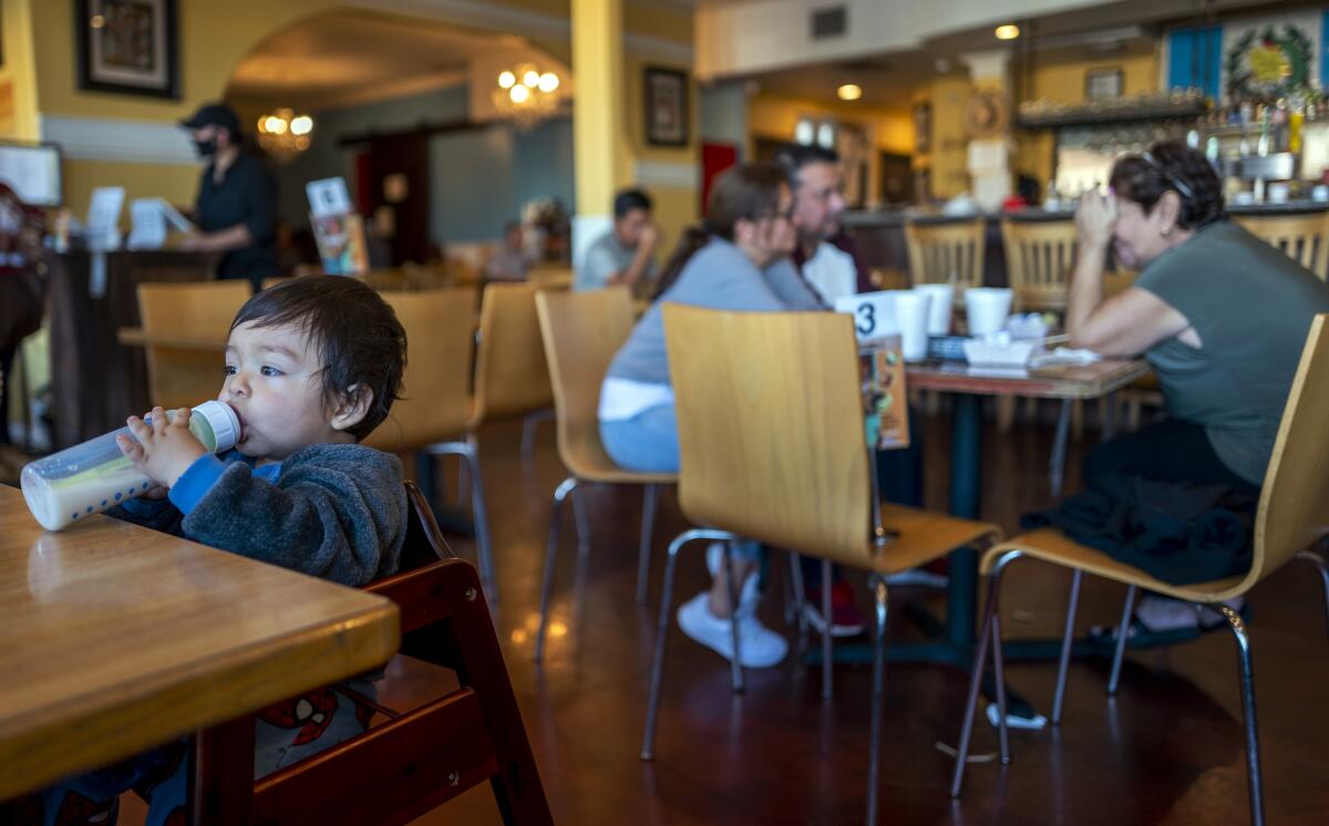 A 10-month-old boy drinks milk from a bottle in a restaurant.