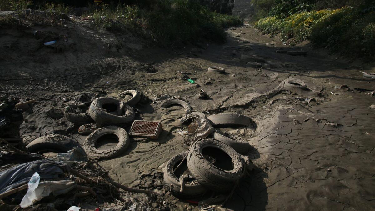 Just north of the U.S.-Mexico border wall, the northward flow of storm runoff brings piles of tires, plastic bottles and other trash as well as sediment and polluted wastewater into the Tijuana River Estuary.
