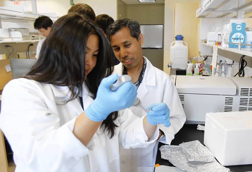 Researchers Elizabeth Chang, left, and Monsur Ali work with pipettes at their lab at UC Irvine. By attaching dye to a strand of DNA and connecting that strand to a cell, the UCI scientists can watch the cell inside the body and see how it reacts to other cells, medicine and cancer. This technology could streamline the lengthy drug test process and eventually make some drugs more effective.