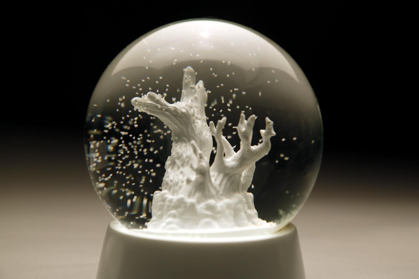 Artist Jeff Weiss commemorates the memory of a tree named Prometheus in a snow globe containing an ethereal white rendering of the gnarled bristlecone pine that lived for roughly 5,000 years in eastern Nevada.