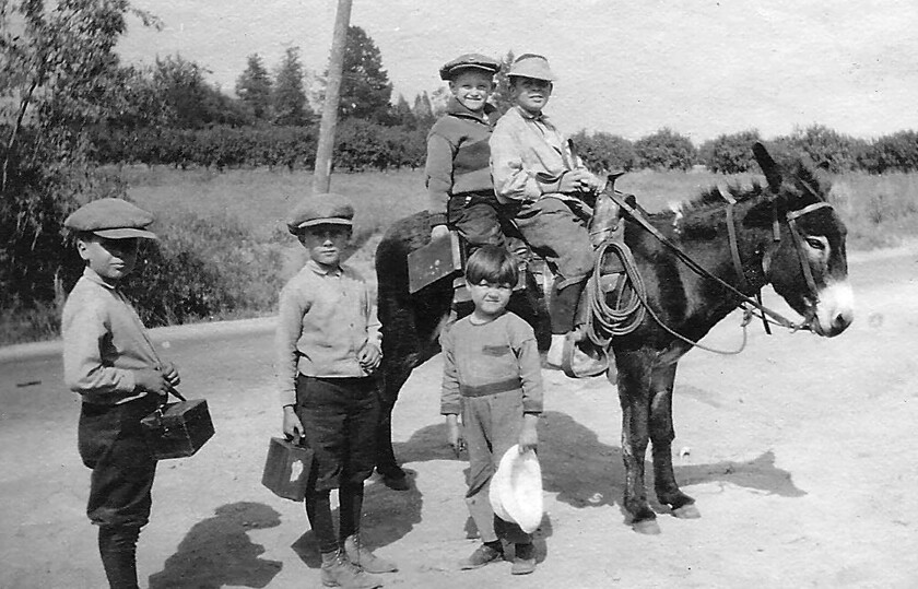 Children from La Cañada's Moses family ride their donkey, Chili Beans, from their home on Palm Drive to school, circa 1923. The photo is part of a virtual tour of Lanterman House being offered to students during the coronavirus pandemic.