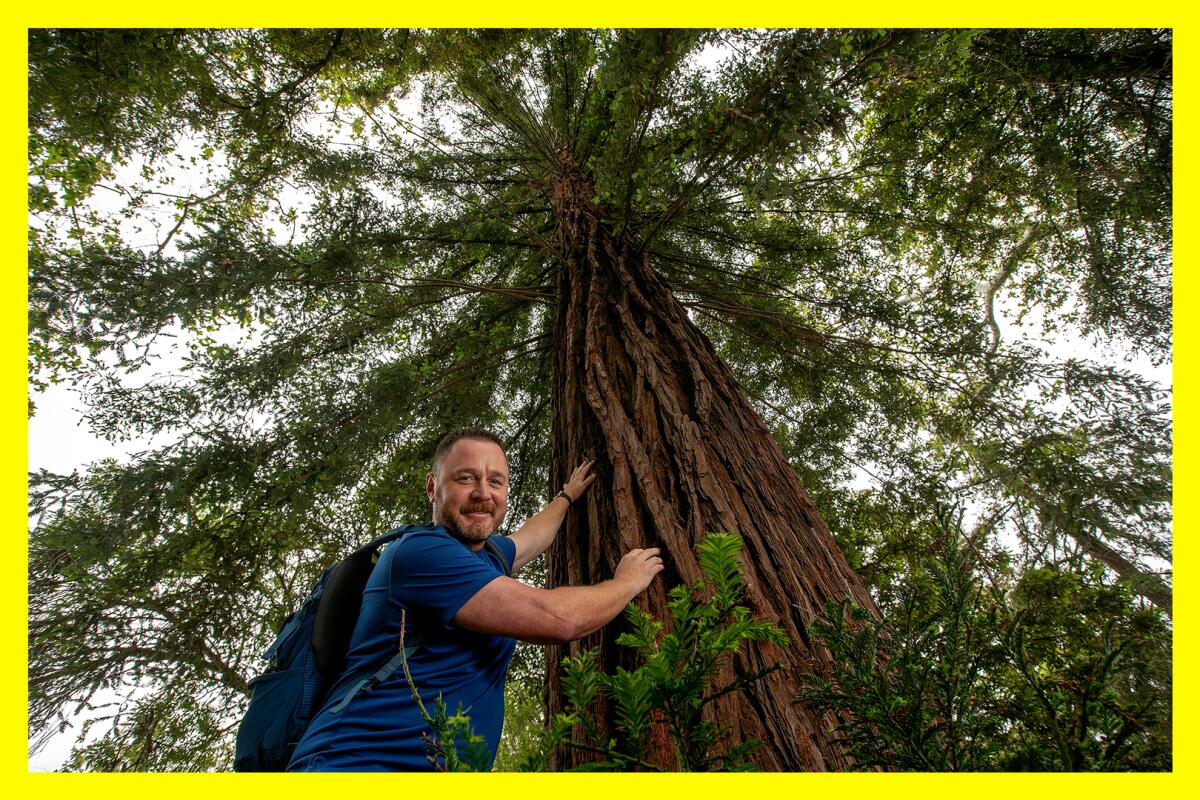 Jason Wise, wearing a blue shirt, is photographed next to a redwood at Griffith Park in Los Angeles.