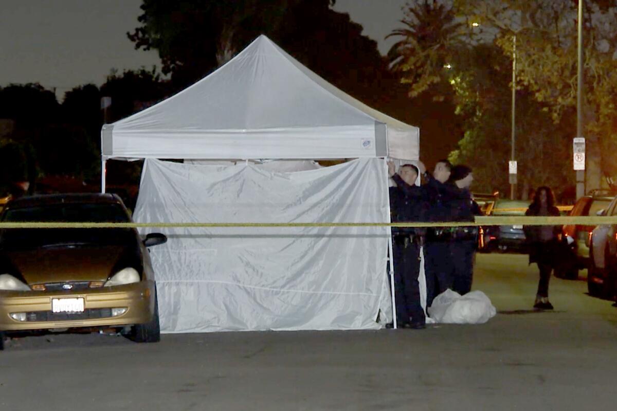 Police officers put up a canopy with tarps on its sides behind crime scene tape in a street