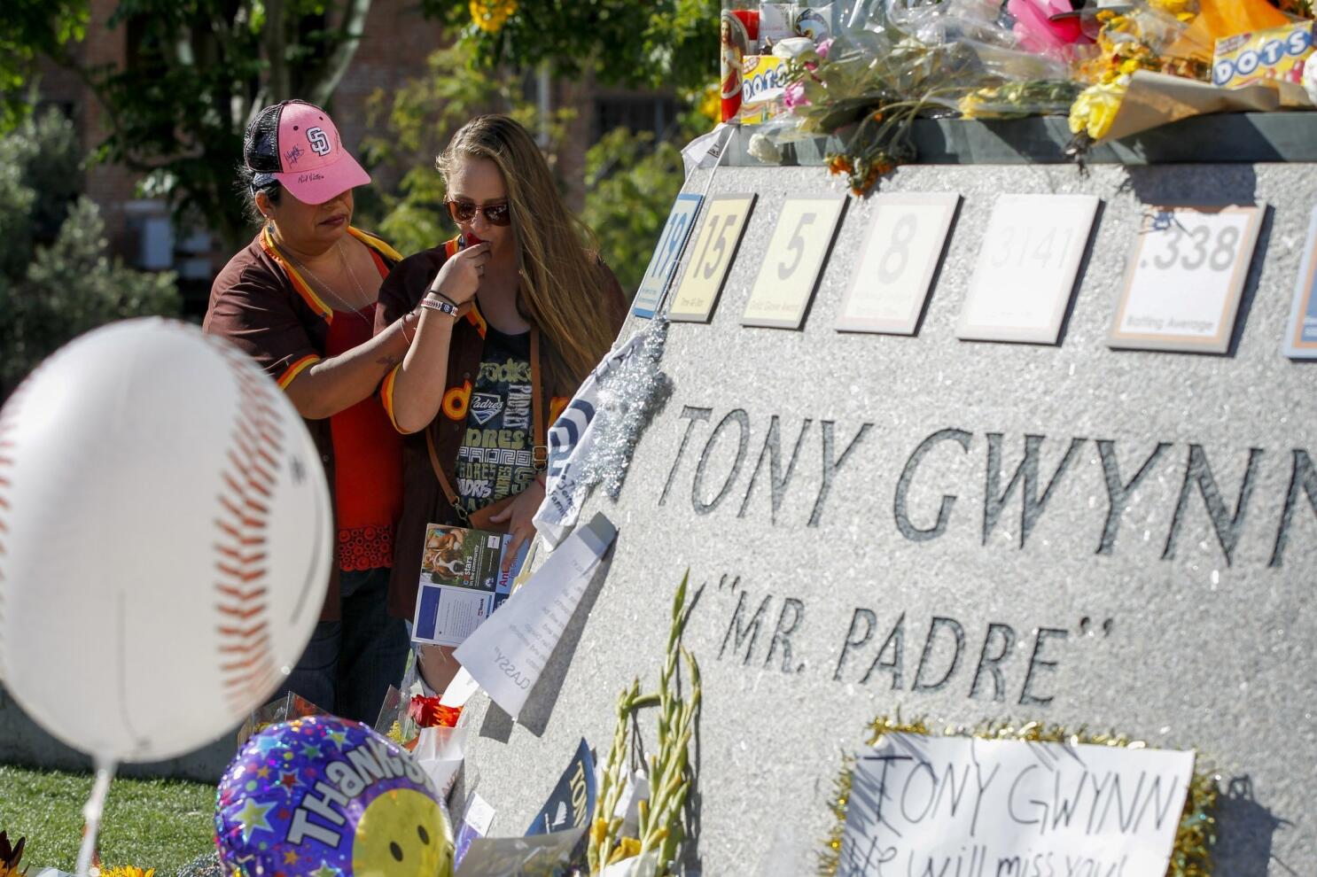 Tony Gwynn Statue Dedication - The San Diego Union-Tribune