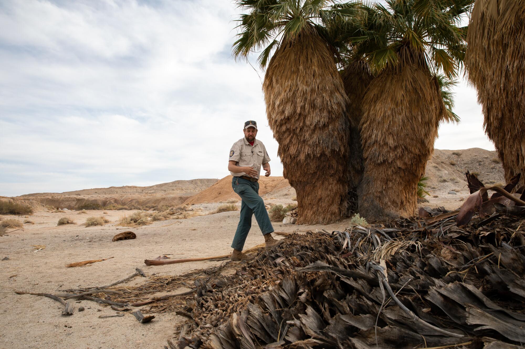 A man walks in the desert among vegetation