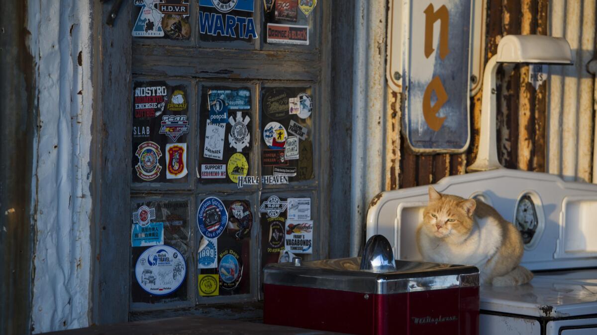 A cat rests on a vintage range in front of the Hackberry General Store. (Brian van der Brug / Los Angeles Times)