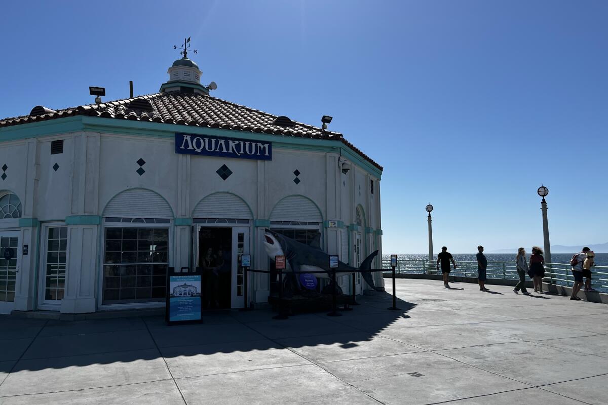 The Roundhouse aquarium sits at the very end of the Manhattan Beach pier.