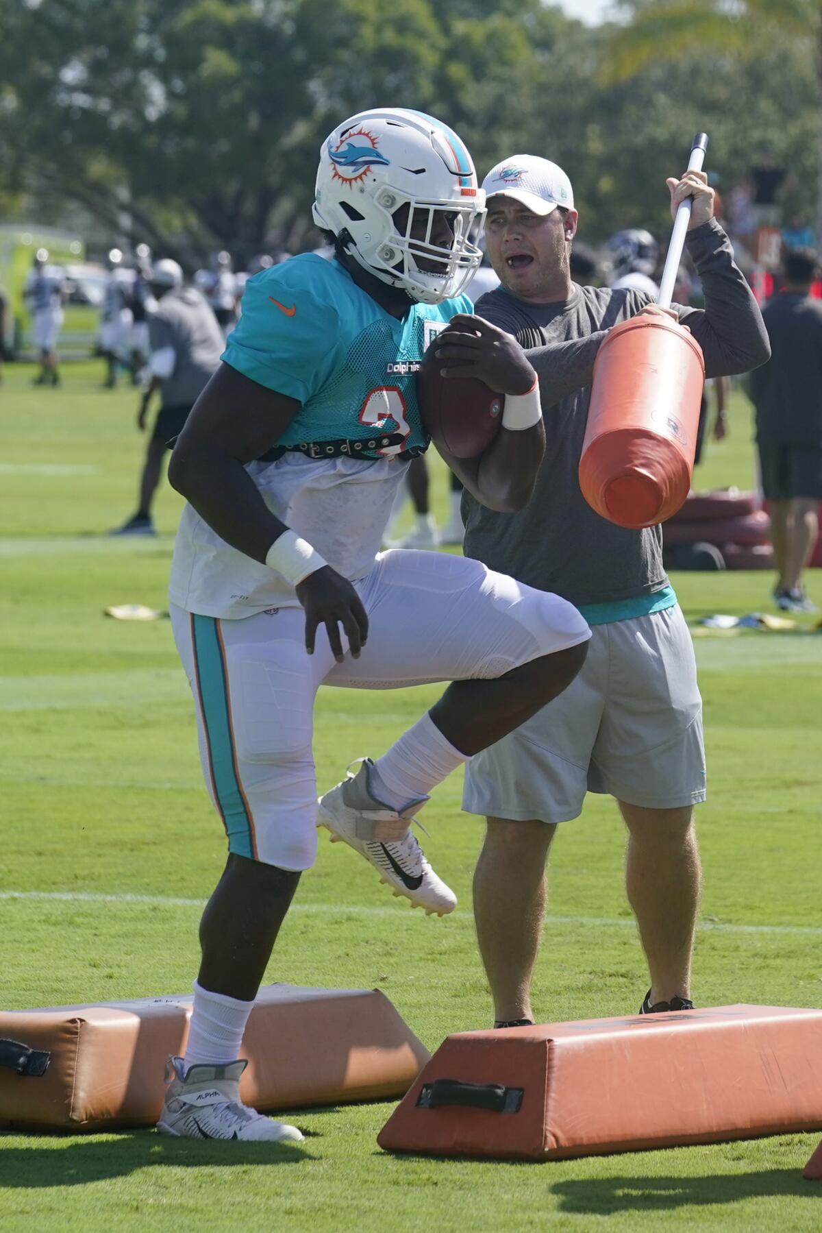 With Fuller back, Dolphins' top WRs are all on the field - The San
