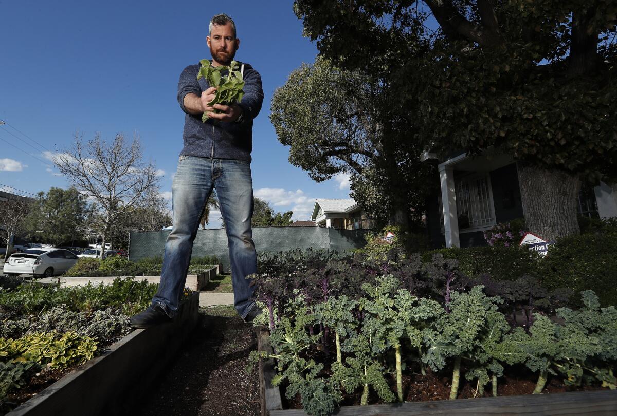 Kevin Meehan, chef-owner of Kali restaurant on Melrose Avenue in Los Angeles, in an urban garden located in the front yard of a home near his restaurant.