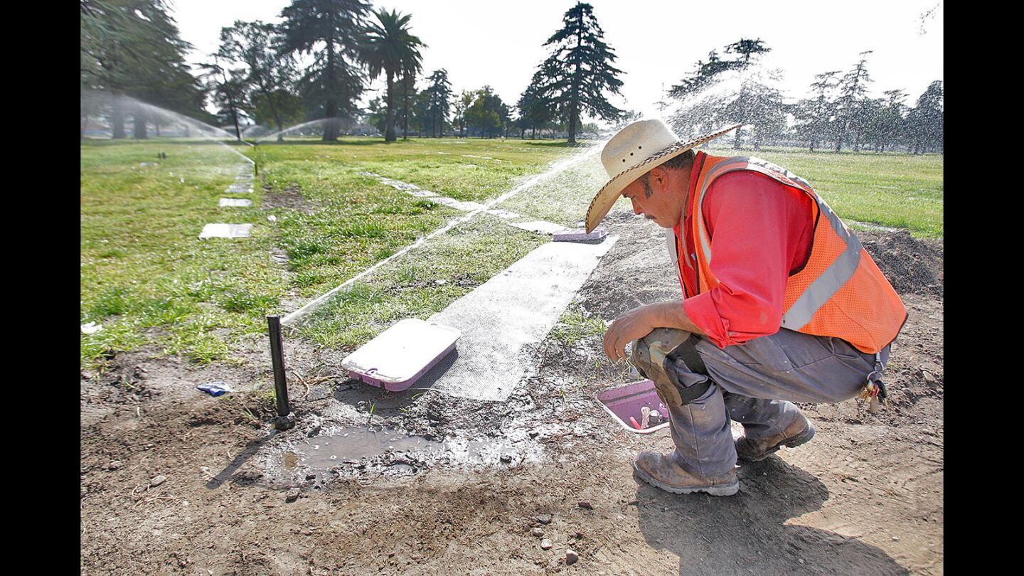 Alberto Fausto, with Valley Crest Landscape Maintenance, tests newly installed sprinklers using reclaimed water at Valhalla Memorial Park in North Hollywood on Friday, Feb. 26, 2016. Valhalla Memorial Park, by replacing the water source with reclaimed water, will save the city of Burbank an estimated 100 million gallons of drinking water per year.