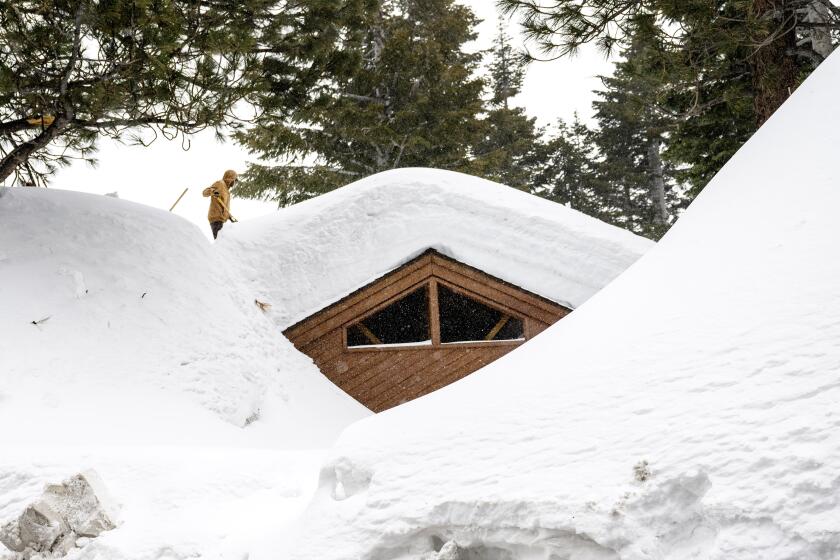 A resident clears snow off the roof of his entombed home  in Mammoth Lakes