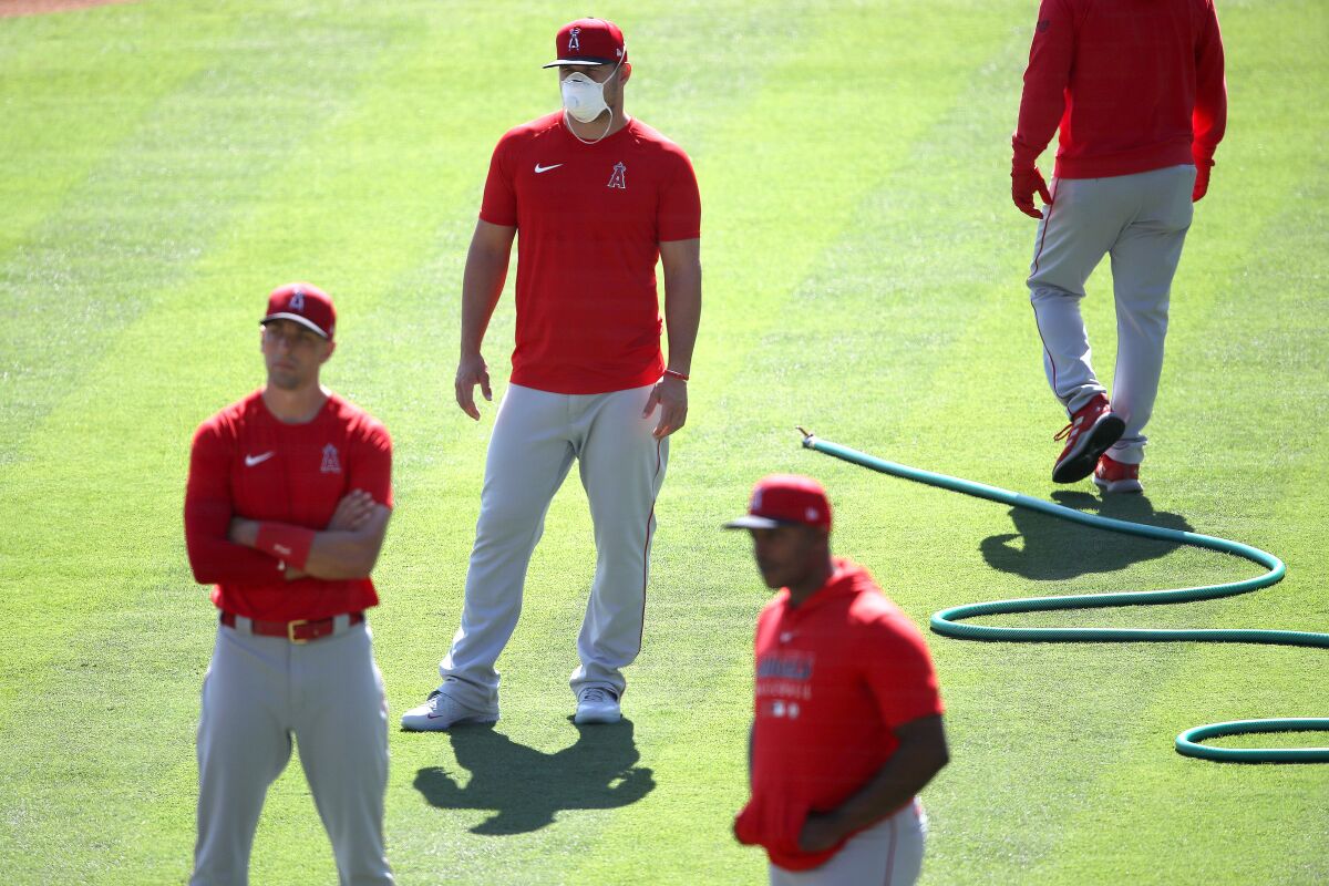 Angles star Mike Trout, in mask, looks on during the team's summer workouts at Angel Stadium of Anaheim.