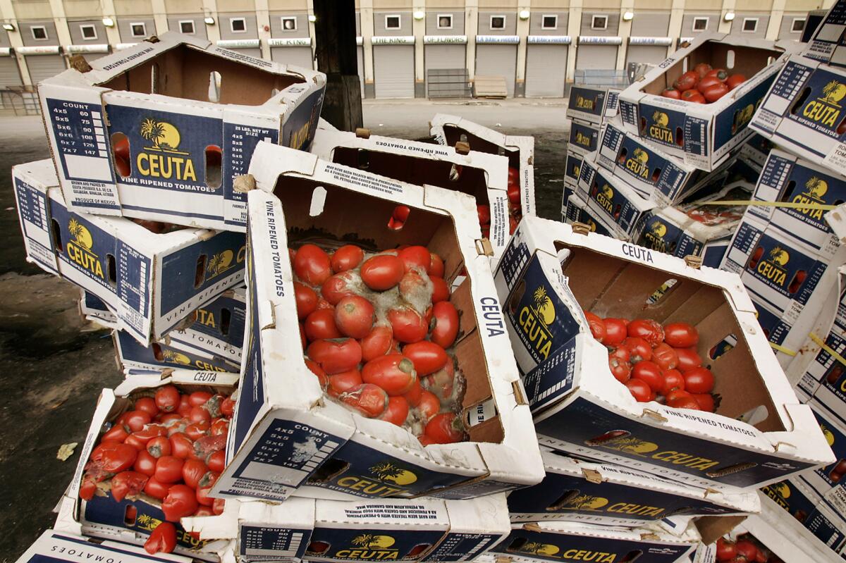 Stacks of boxes of moldy and rotten tomatoes.