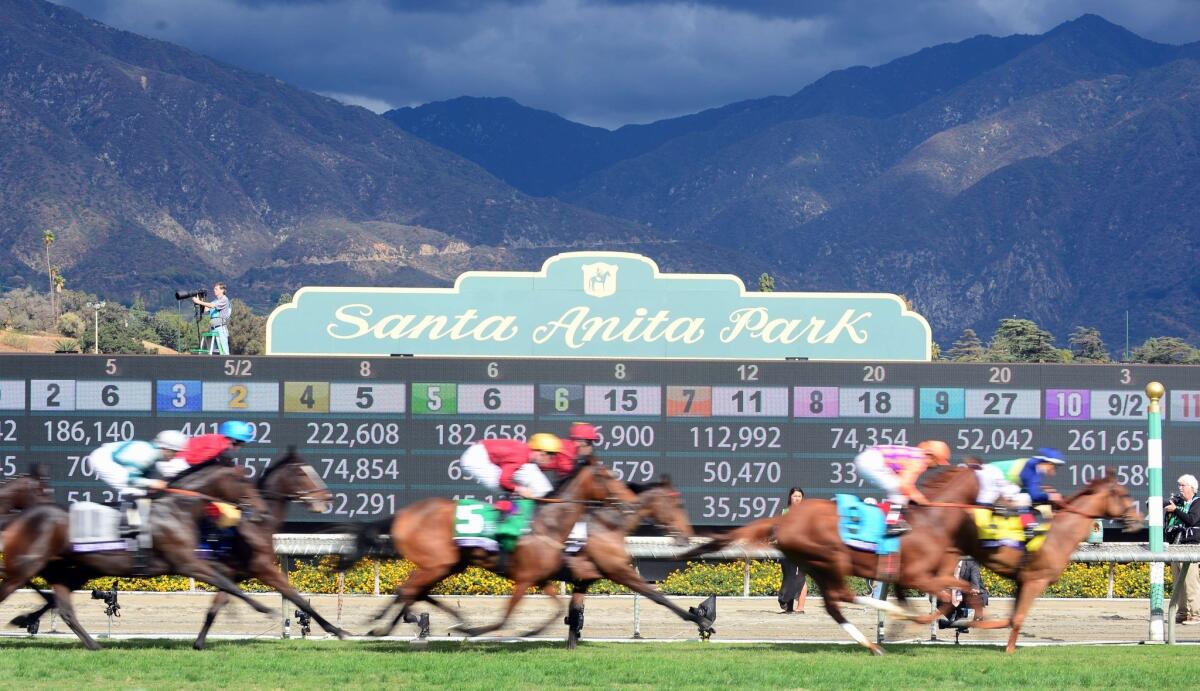 Jockey Javier Castellano rides Dayatthespa to victory in the 2014 Breeders' Cup Filly & Mare Turf race at Santa Anita.