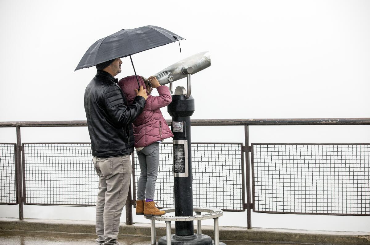 A young girl looks through large mounted binoculars while her father shields her from rain by an umbrella.