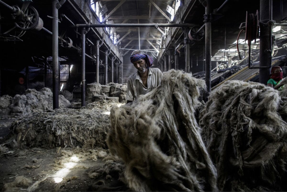 A factory worker sifts through bales of jute to sort the choicest fibers before loading them into machines to be softened and rolled.