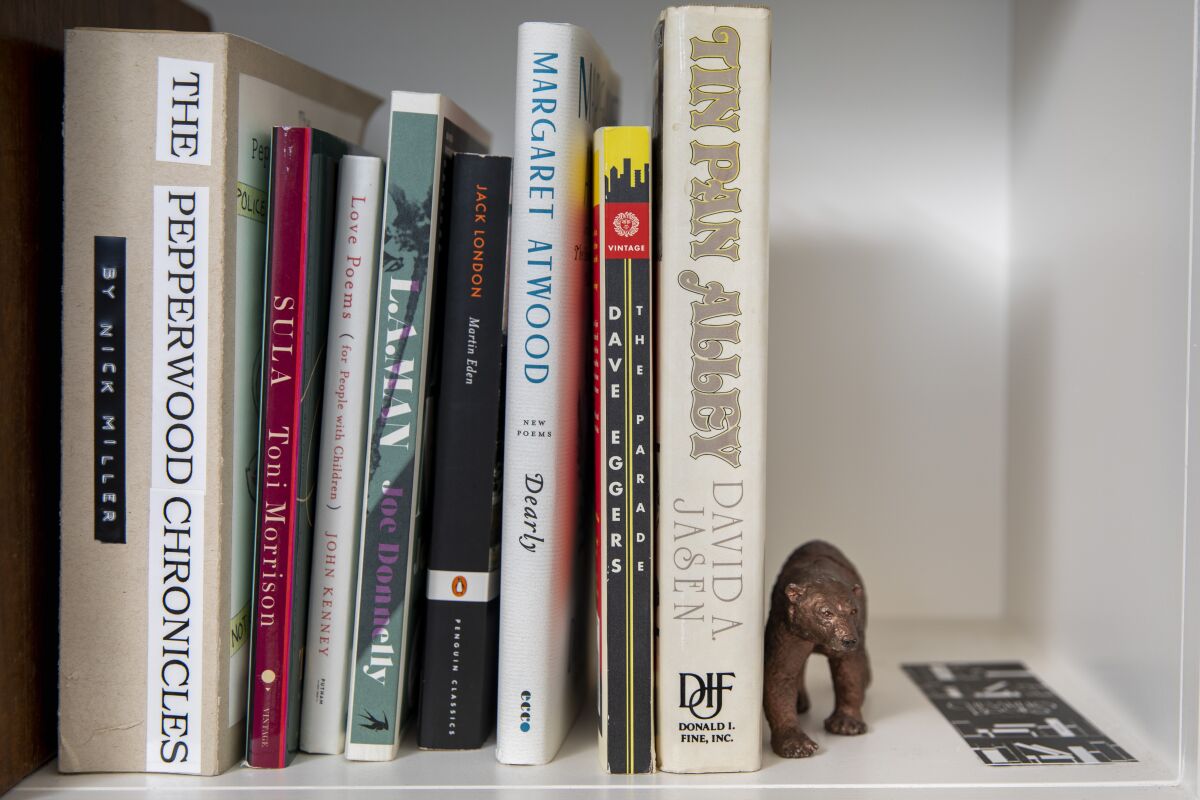 A closeup of books on a bookshelf 