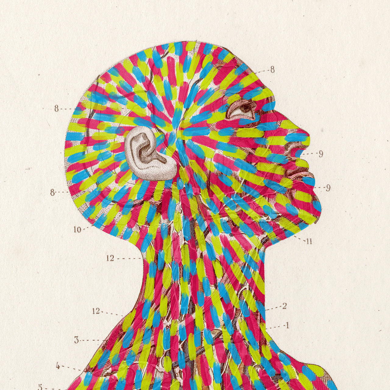 Colors swirl on an animated illustration of a human head and neck.