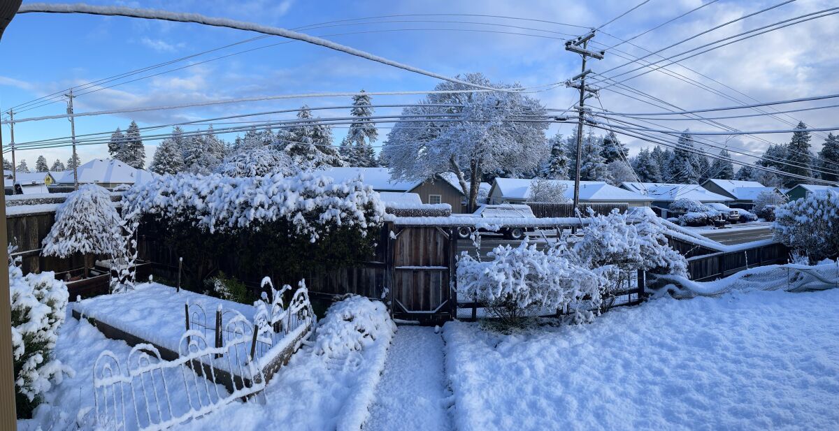 Snow blankets a yard, trees, roofs and power lines.