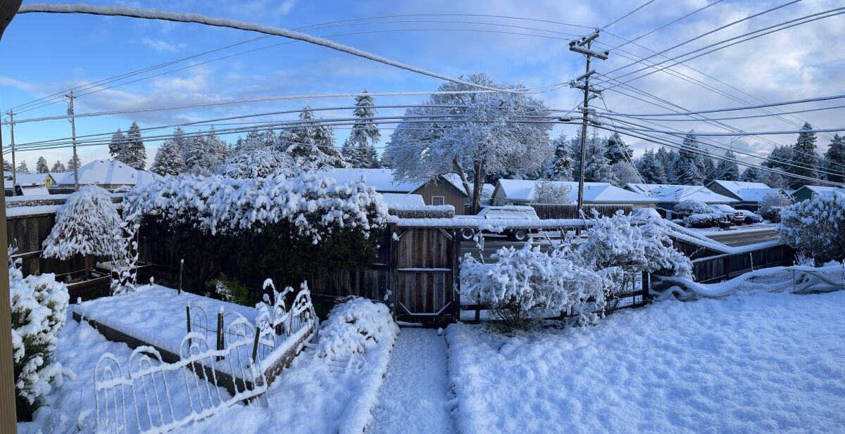 Snow turns California's North Coast into a winter wonderland Los
