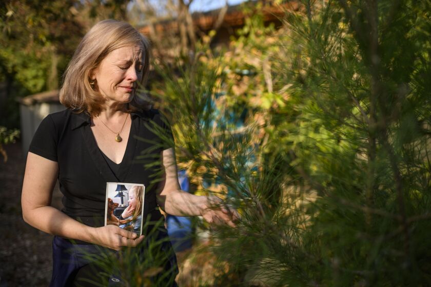 Stacia Langley holds a photo of her late son Max Benson next to a tree he grew from a seed in his grandfather's backyard in Davis, Calif., Nov. 10, 2019. Benson, a 13-year-old autistic student, died after being restrained for almost two hours for allegedly spitting at a classmate. The Sacramento Bee reported, Thursday, July 21, 2022, that a recently convened special criminal grand jury indicted Guiding Hands, its former principal, a teacher and site administrator Cindy Keller for involuntary manslaughter. (Daniel Kim/Sacramento Bee via AP)